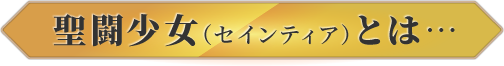 聖闘少女 （セインティア）とは…